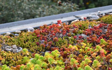 the cost of Little Chart Forstal green roof installation