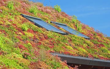 Little Chart Forstal living roof systems